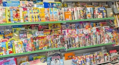 Bar of 295 m² in Pruillé-le-Chétif (72700)