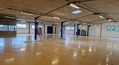 Business premises of 1,100 m² in Monnaie (37380)