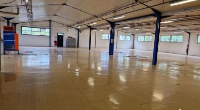 Business premises of 1,100 m² in Monnaie (37380)