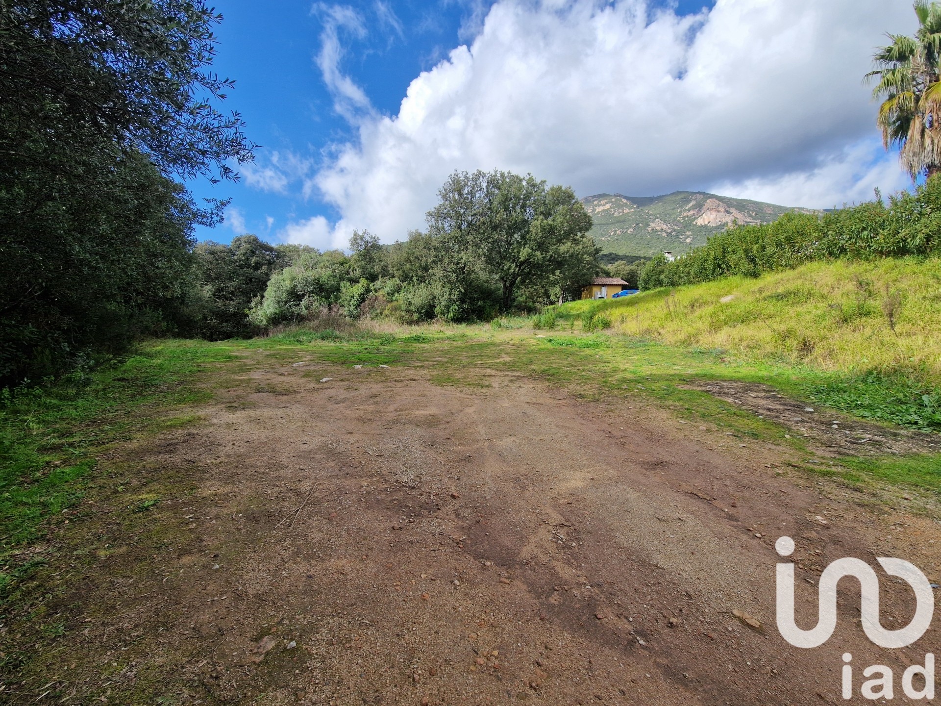 Terrain Ocana 1404 1687175