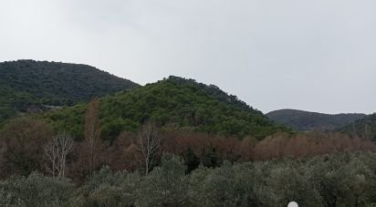 Terrain de 15 160 m² à Bénivay-Ollon (26170)