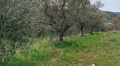 Terrain de 15 160 m² à Bénivay-Ollon (26170)