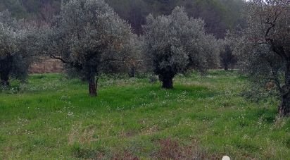 Terrain de 15 160 m² à Bénivay-Ollon (26170)