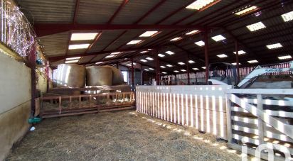 Grange 2 pièces de 750 m² à Rocquigny (08220)