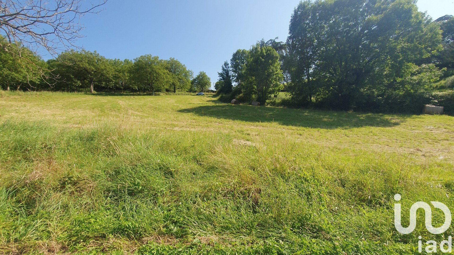 Terrain Saint-Martin-le-Colonel 2335 1568966
