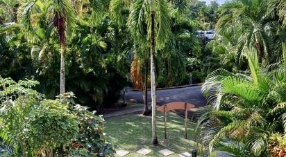 Studio 1 pièce de 21 m² à Sainte-Anne (97227)