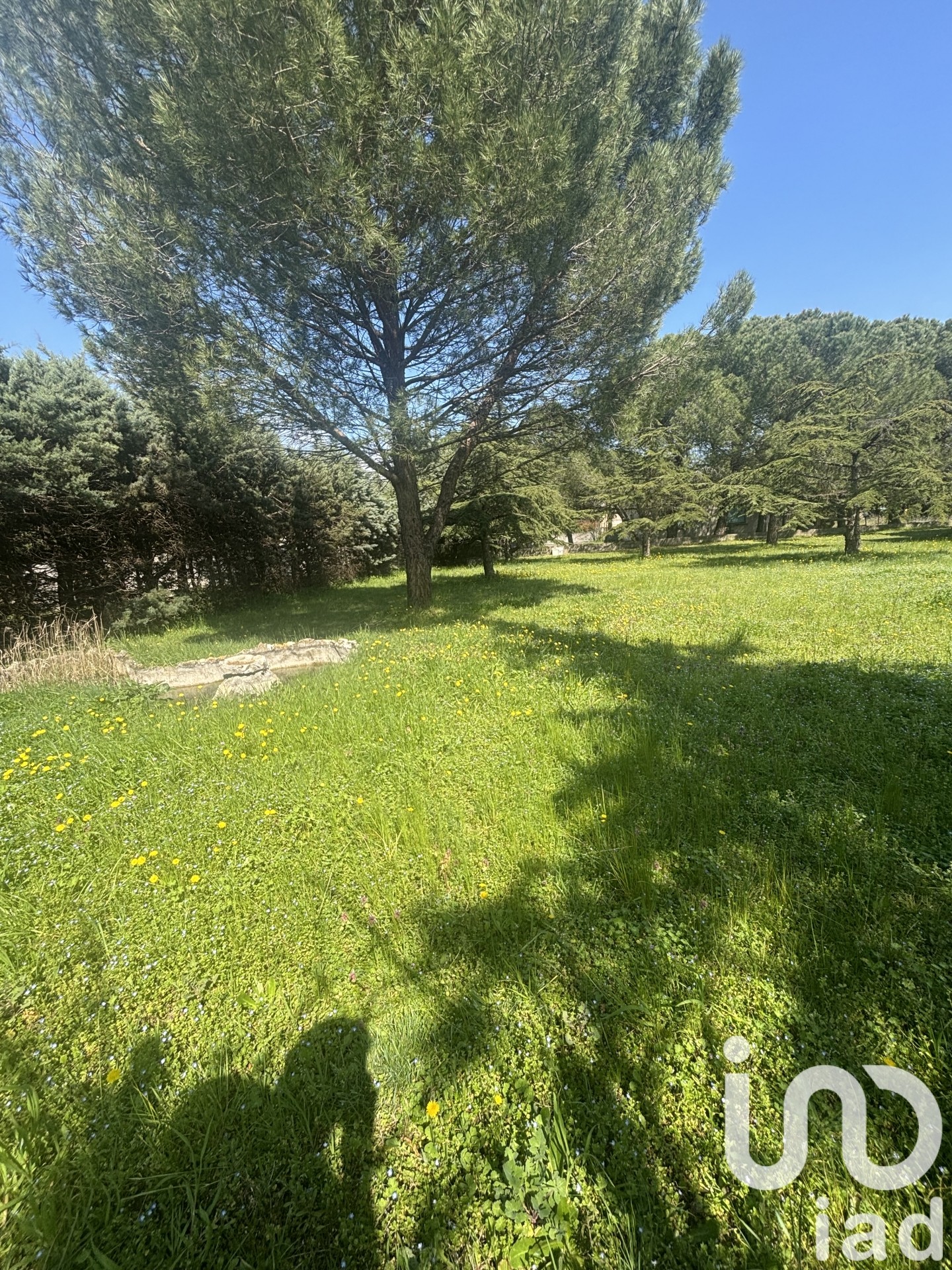 Terrain Châteauneuf-du-Rhône 720 1728343