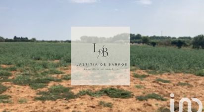Farm land of 8,002 m² in Lansargues (34130)