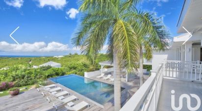 Maison d’architecte 7 pièces de 530 m² à Saint-Martin (97150)