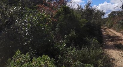 Land of 41,123 m² in Uchaux (84100)