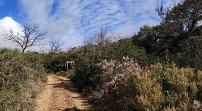 Land of 41,123 m² in Uchaux (84100)