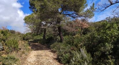 Land of 41,123 m² in Uchaux (84100)