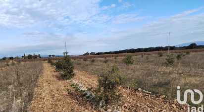 Truffière de 5 090 m² à Rochegude (26790)