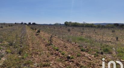 Truffière de 13 690 m² à Rochegude (26790)
