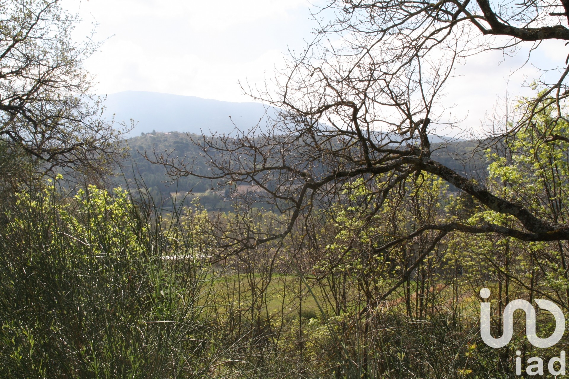 Terrain MOLLANS SUR OUVEZE 1056 1738299