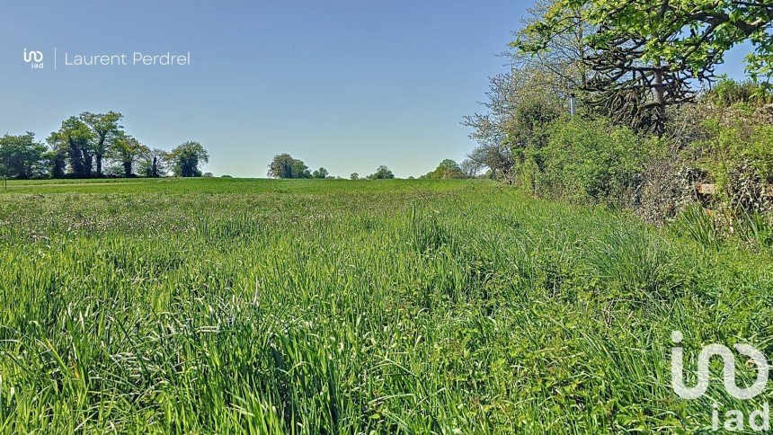 Terrain de 1 686 m² à Allaire (56350)