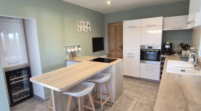 Country home 5 rooms of 120 m² in Saint-Amand-les-Eaux (59230)