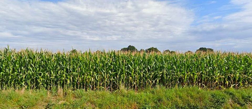 Land of 63,675 m² in Bléneau (89220)