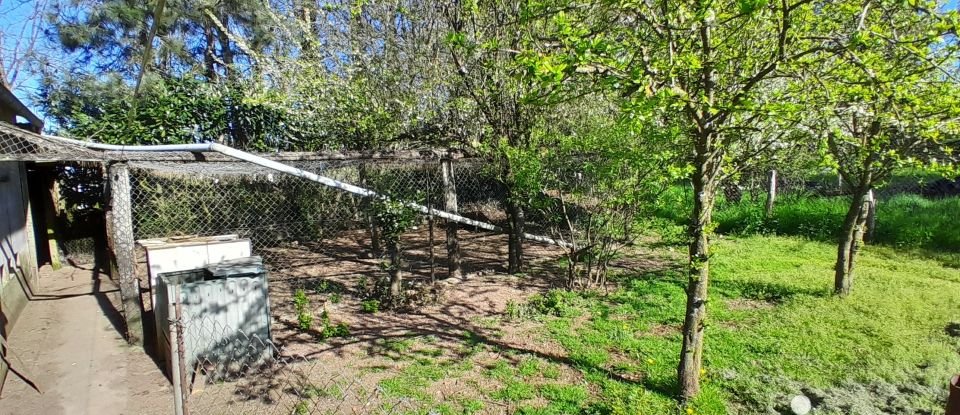 Maison 4 pièces de 91 m² à La Boissière-en-Gâtine (79310)