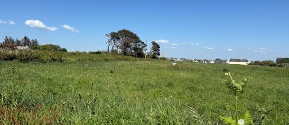 Land of 1,104 m² in Plozévet (29710)