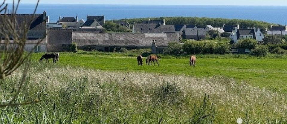 Land of 1,104 m² in Plozévet (29710)