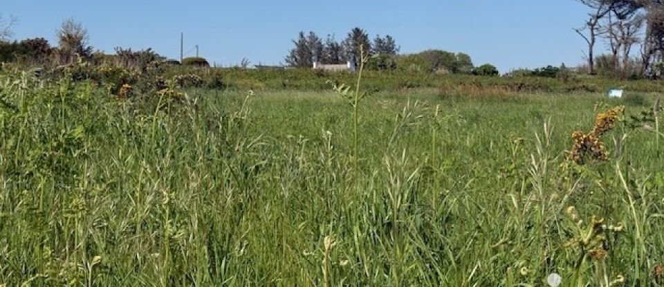 Land of 1,104 m² in Plozévet (29710)
