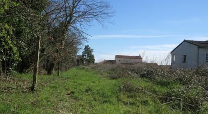 Terrain de 1 150 m² à Bonnes (86300)