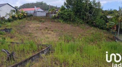 Terrain de 500 m² à Le Tampon (97430)