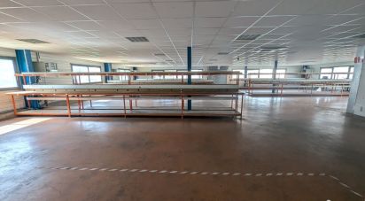 Local d'activités de 1 200 m² à L'Union (31240)