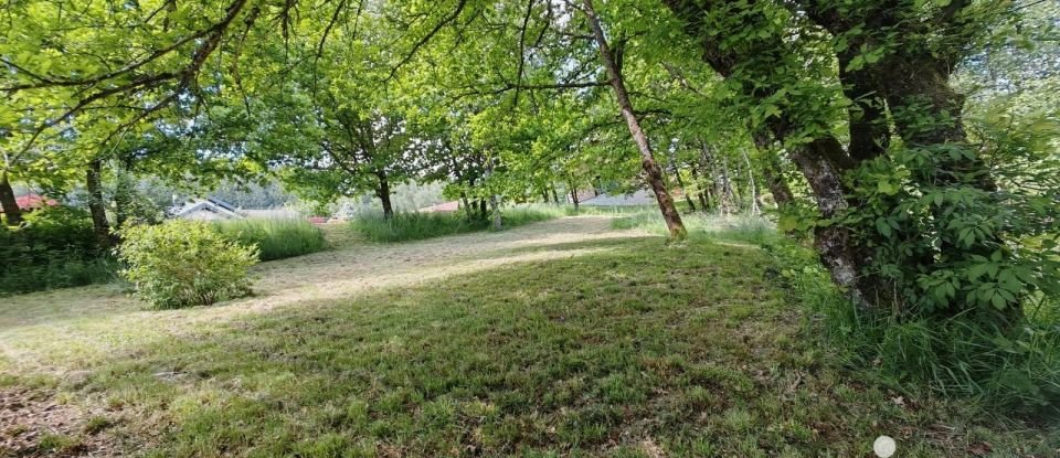 Land of 1,136 m² in Ban-sur-Meurthe-Clefcy (88230)