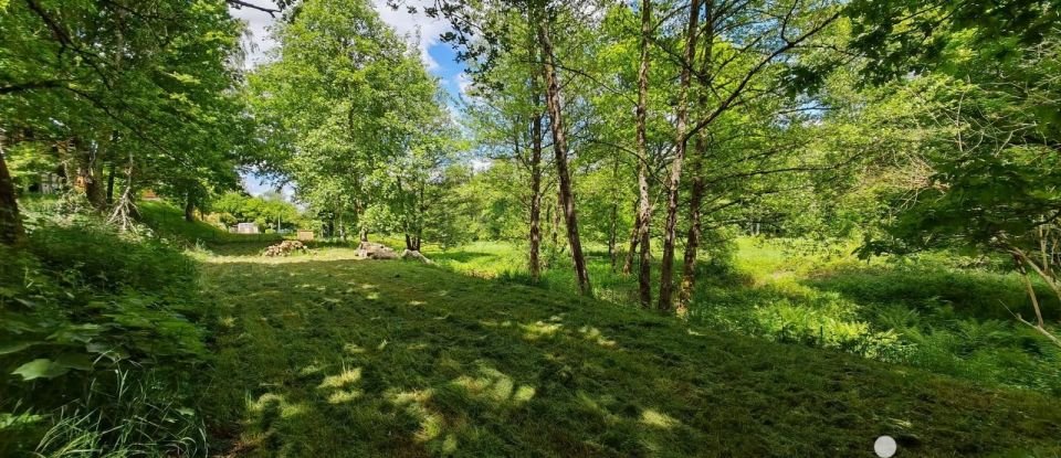 Land of 1,136 m² in Ban-sur-Meurthe-Clefcy (88230)