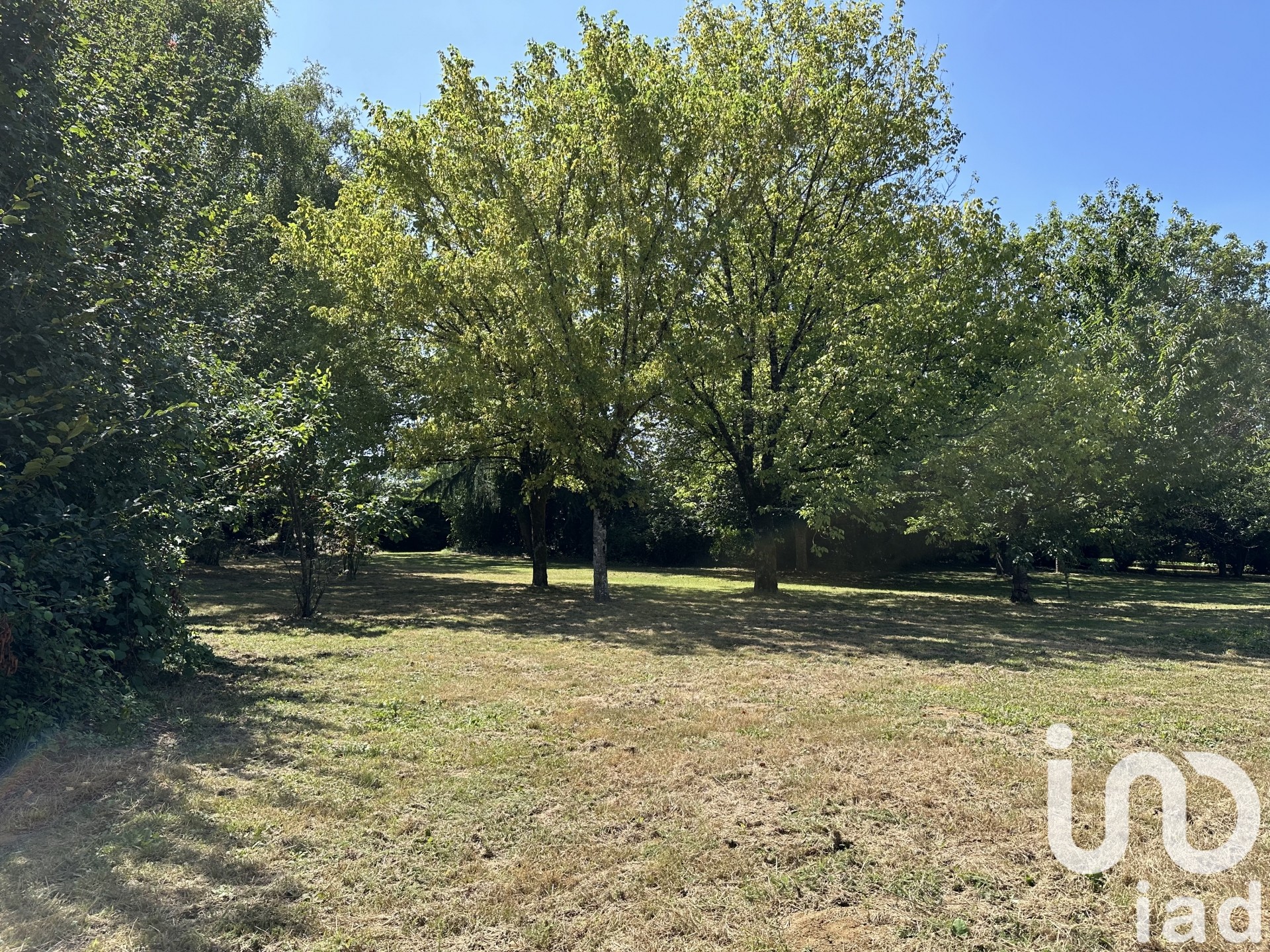 Terrain Bourneau 1591 1585966