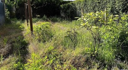 Maison 4 pièces de 70 m² à Cauchy-à-la-Tour (62260)