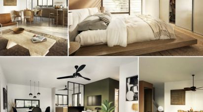Maison d’architecte 4 pièces de 96 m² à LA SALINE-LES-BAINS (97434)