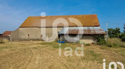 Barn conversion 3 rooms of 228 m² in Saint-Genest (03310)